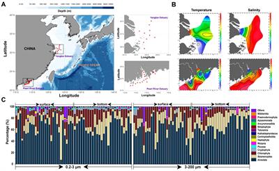 Dispersed limitation and homogeneous selection drive the eukaryotic microbial community assembly and network stability in the coastal China sea